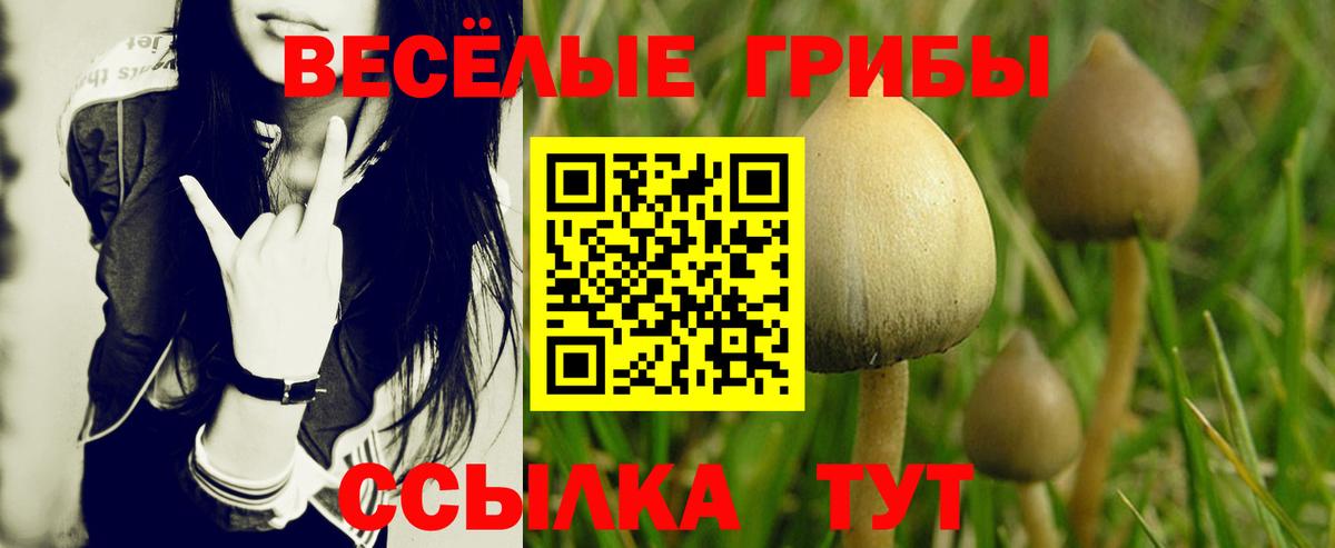 Дзержинский  Галлюциногенные грибы MAGIC MUSHROOMS  Вход с VPN  Галлюциногенные грибы Magic Shrooms 